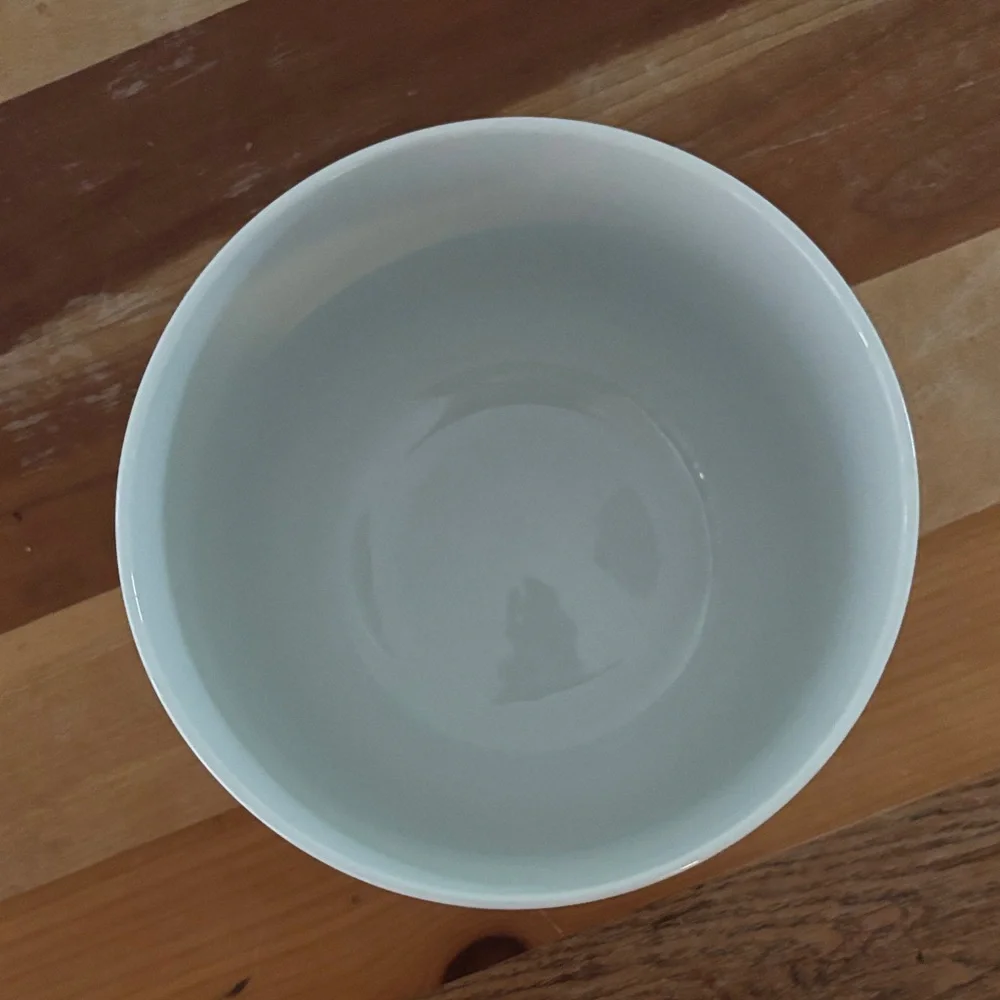 Crate&Barrel Glossy Stoneware White Bowl